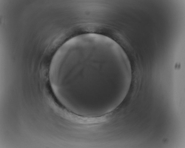 X0000112750031200909171237