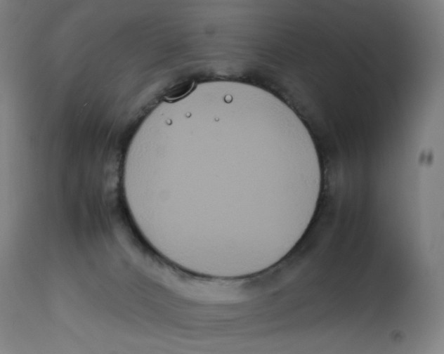 X0000112750032200909171237