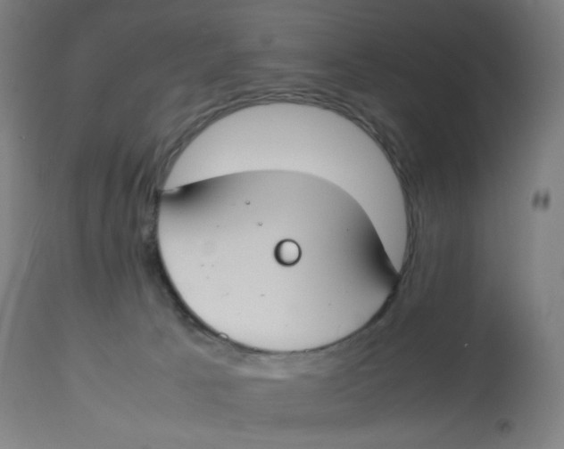 X0000112750033200909171237