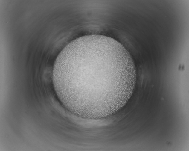 X0000112750034200909171237