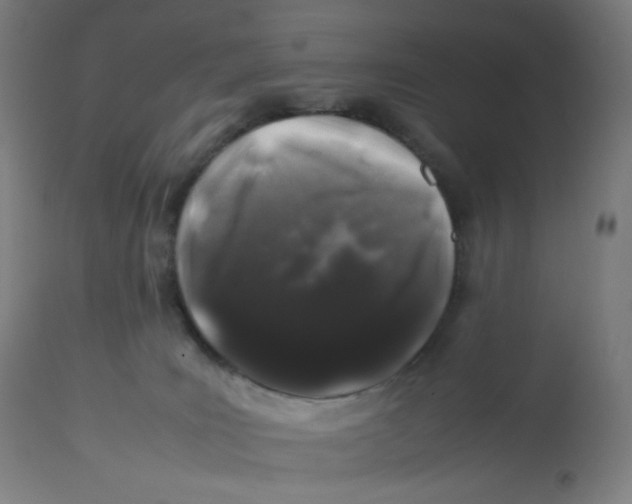 X0000112750035200909171237