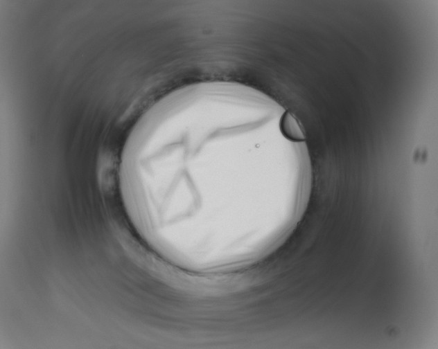 X0000112750038200909171237