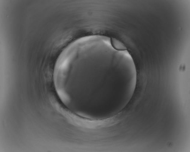 X0000112750039200909171237