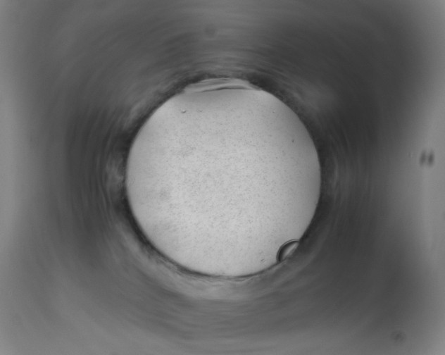 X0000112750040200909171237