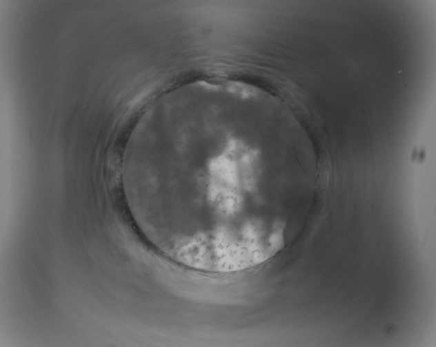 X0000112750043200909171237