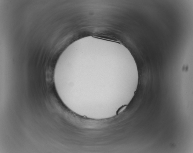 X0000112750044200909171237