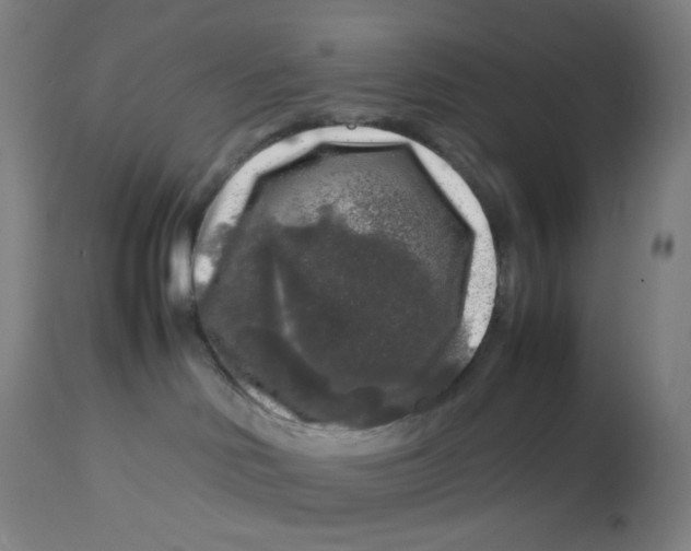 X0000112750046200909171237