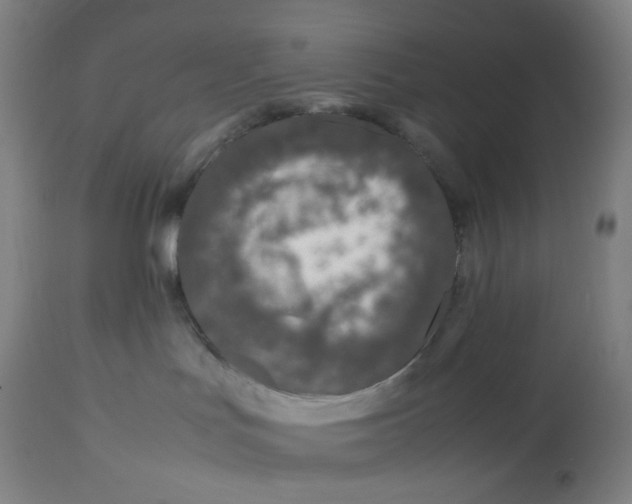 X0000112750047200909171237