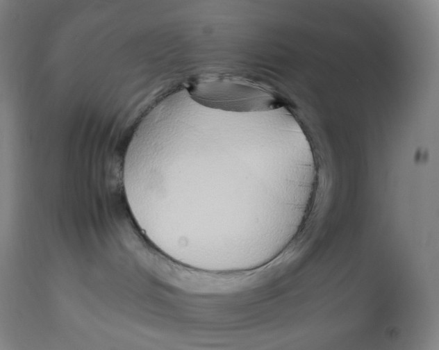 X0000112750048200909171237