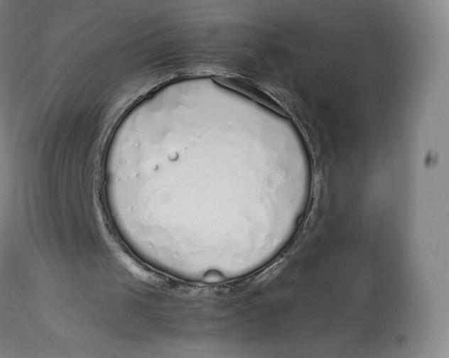 X0000112750049200909171236