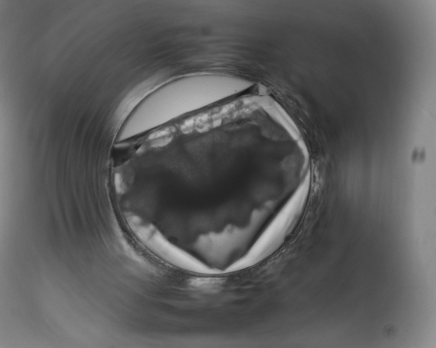 X0000112750051200909171236