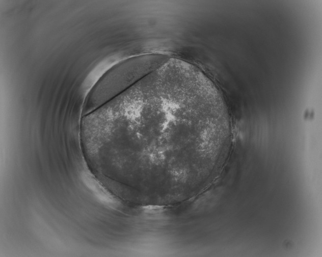 X0000112750052200909171236