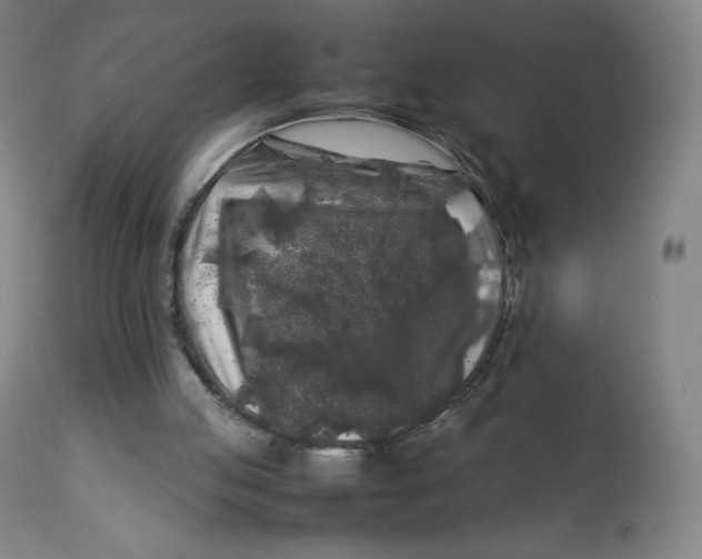 X0000112750053200909171236