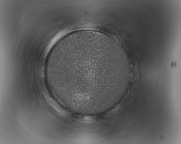 X0000112750056200909171236