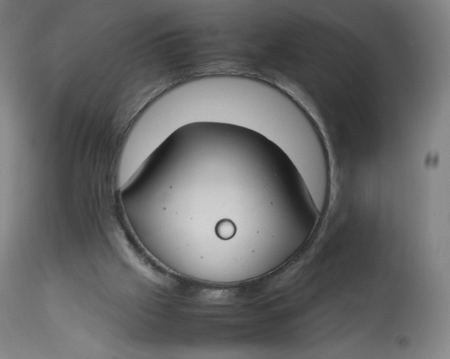 X0000112750057200909171236