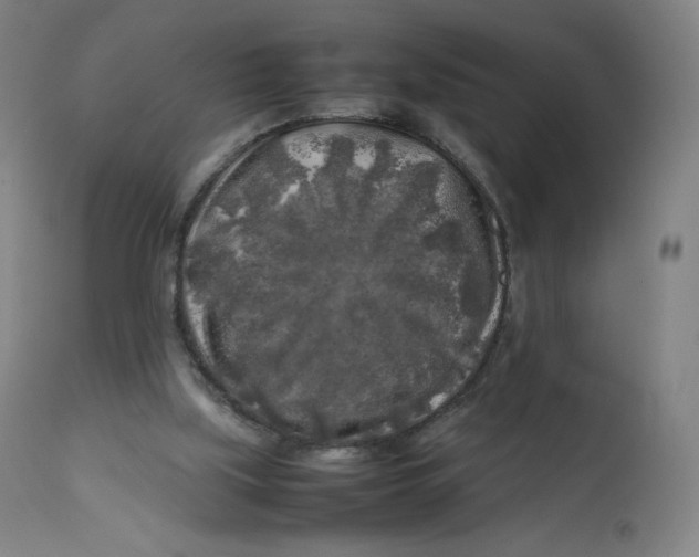 X0000112750059200909171236