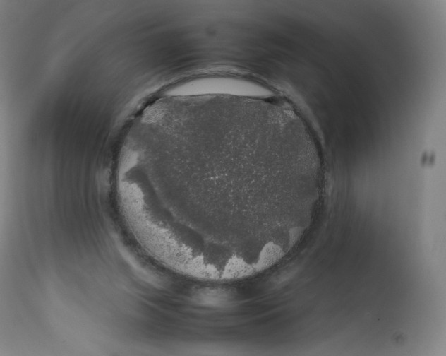 X0000112750063200909171236