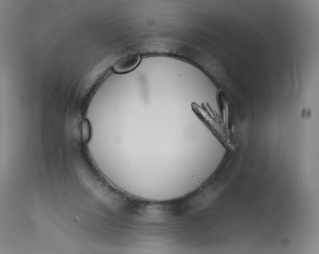 X0000112750064200909171236