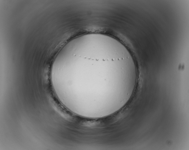 X0000112750065200909171236