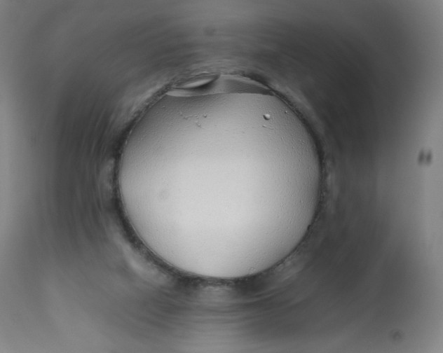 X0000112750066200909171236