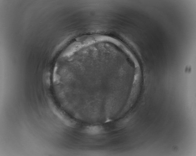 X0000112750067200909171236