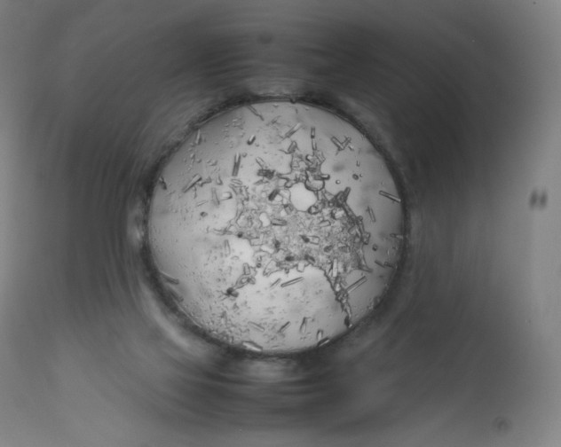 X0000112750069200909171236