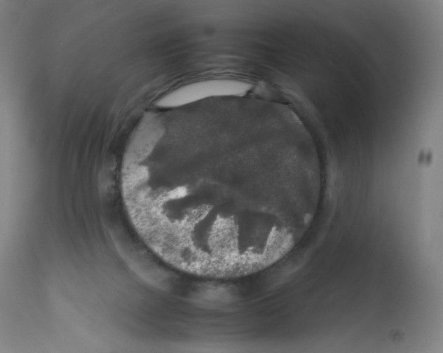 X0000112750073200909171236