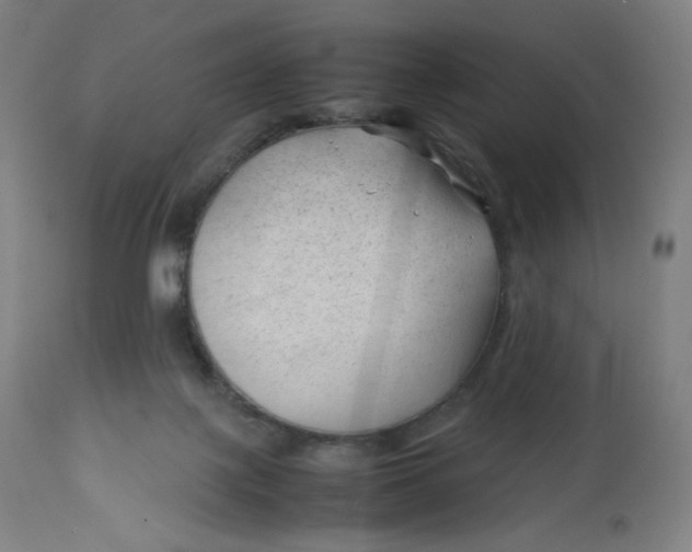 X0000112750075200909171236