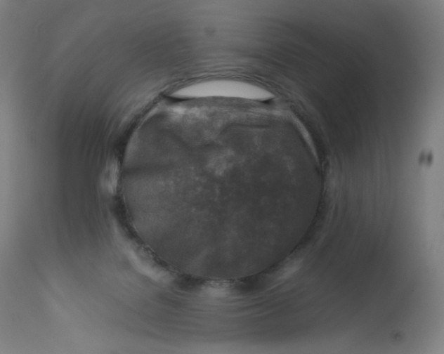 X0000112750076200909171236