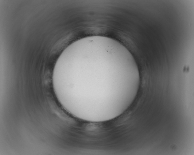 X0000112750077200909171236