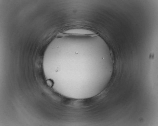 X0000112750078200909171236