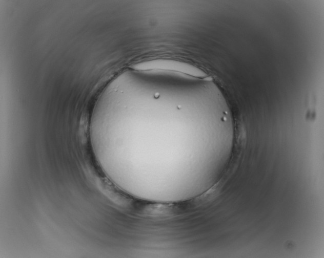 X0000112750082200909171236