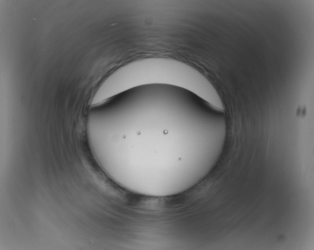 X0000112750084200909171236