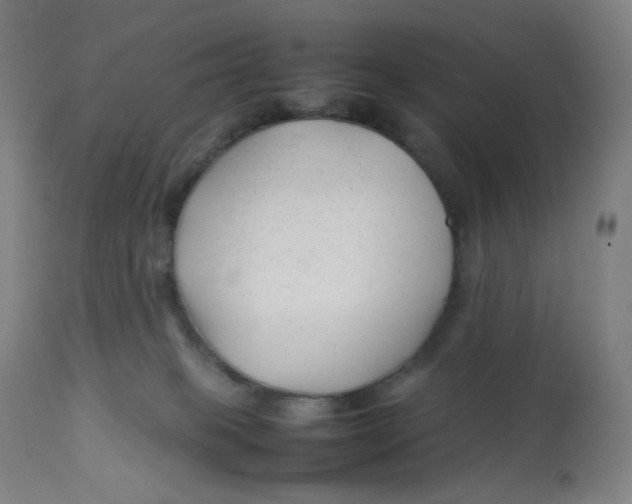 X0000112750085200909171236