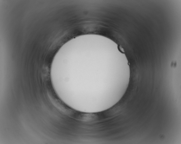 X0000112750087200909171236