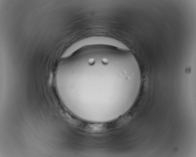 X0000112750089200909171236