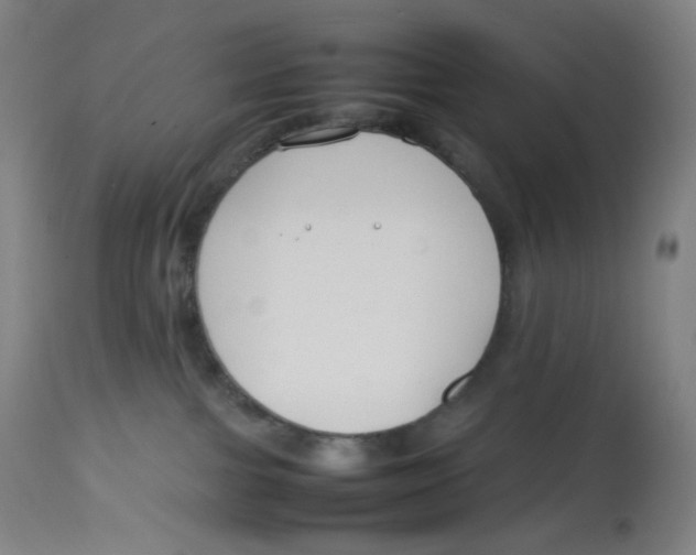 X0000112750091200909171236