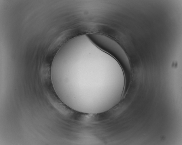 X0000112750092200909171236