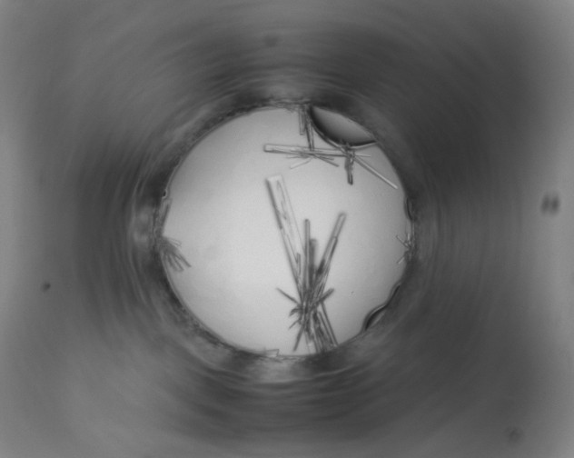 X0000112750093200909171236