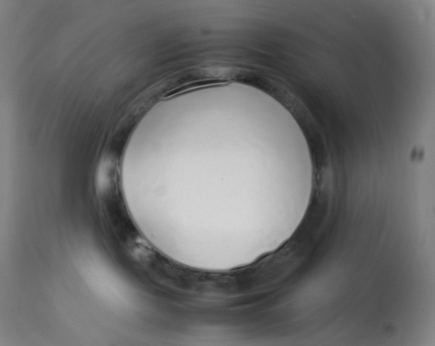 X0000112750095200909171237