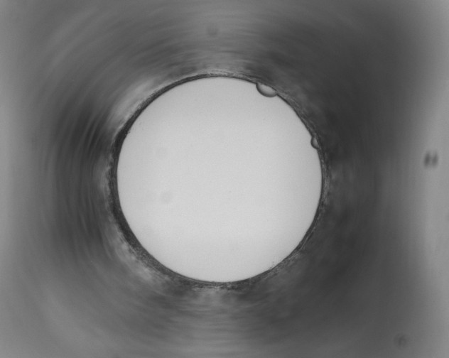 X0000112750098200909171236