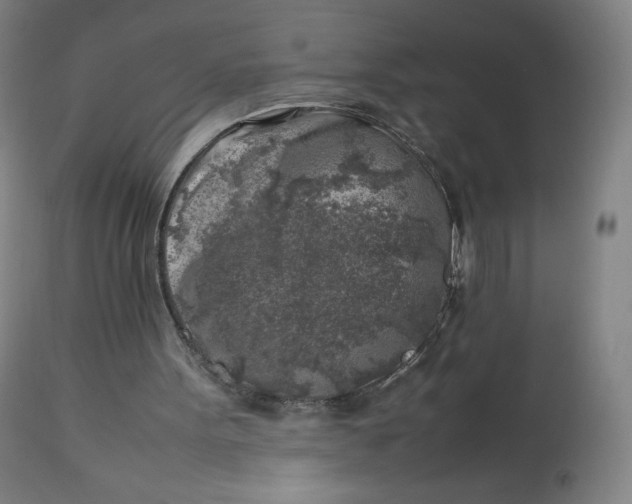 X0000112750099200909171236