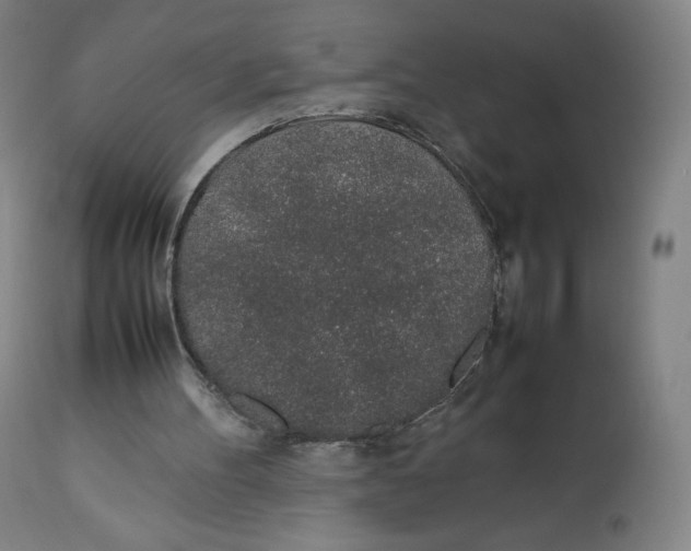 X0000112750100200909171236