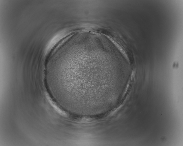 X0000112750101200909171236