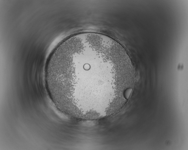 X0000112750102200909171236