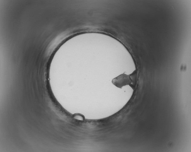 X0000112750103200909171236