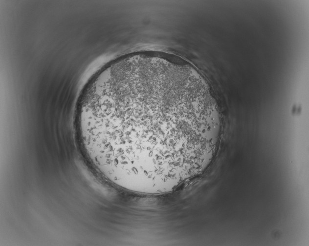 X0000112750104200909171236