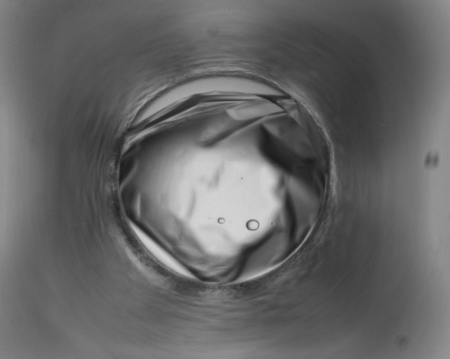 X0000112750105200909171236