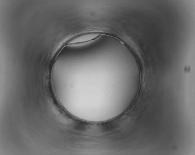 X0000112750107200909171236