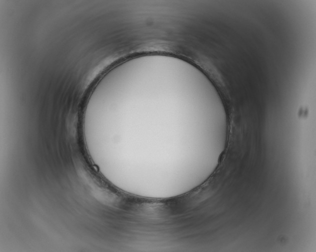 X0000112750108200909171236